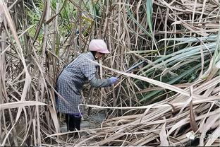   Triệt phá nhiều đường dây buôn bán ma túy