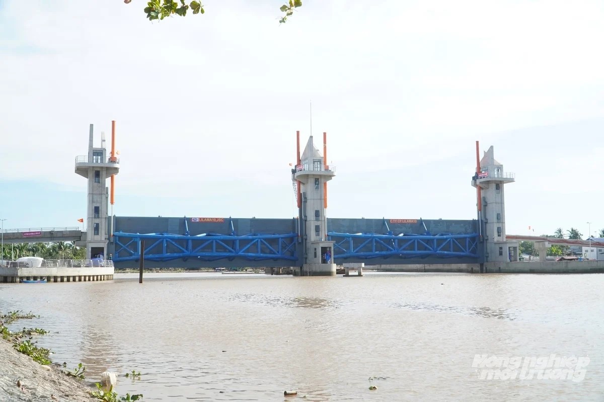Cần Thơ phân cấp quản lý công trình Trang Chủ J88.com Trực Tuyến Mới Nhất 2026 