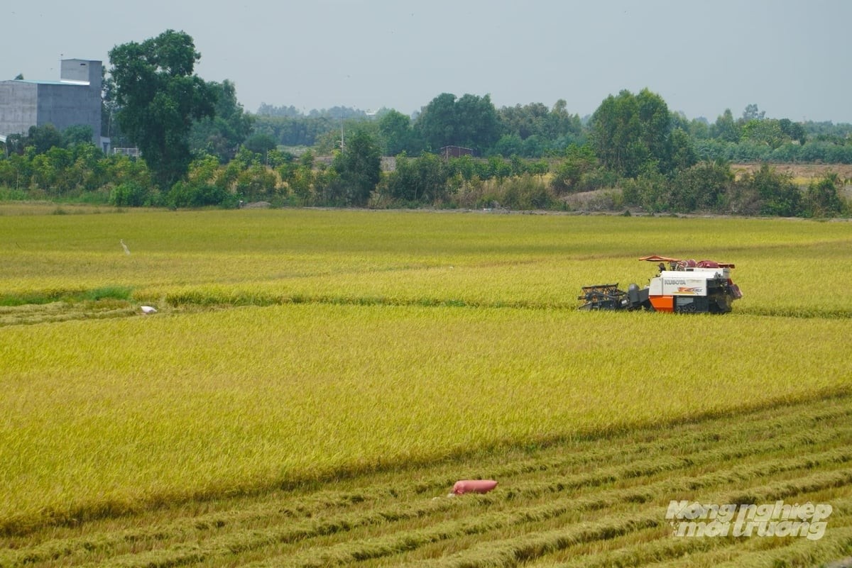 J882ea tỉ lể kèo thắng lớn Trang Chủ J88.com Trực Tuyến Mới Nhất 2026 hóa phát triển Trang Chủ J88.com Trực Tuyến Mới Nhất 2026 nội đồng 