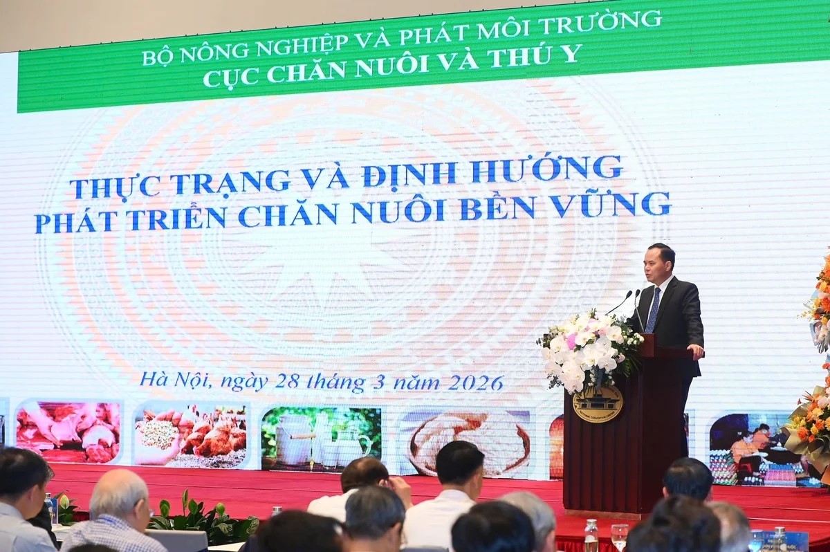 Ngành J881 tải ứng  đứng trước 'cửa sổ tái cấu trúc' để phát triển bền vững 