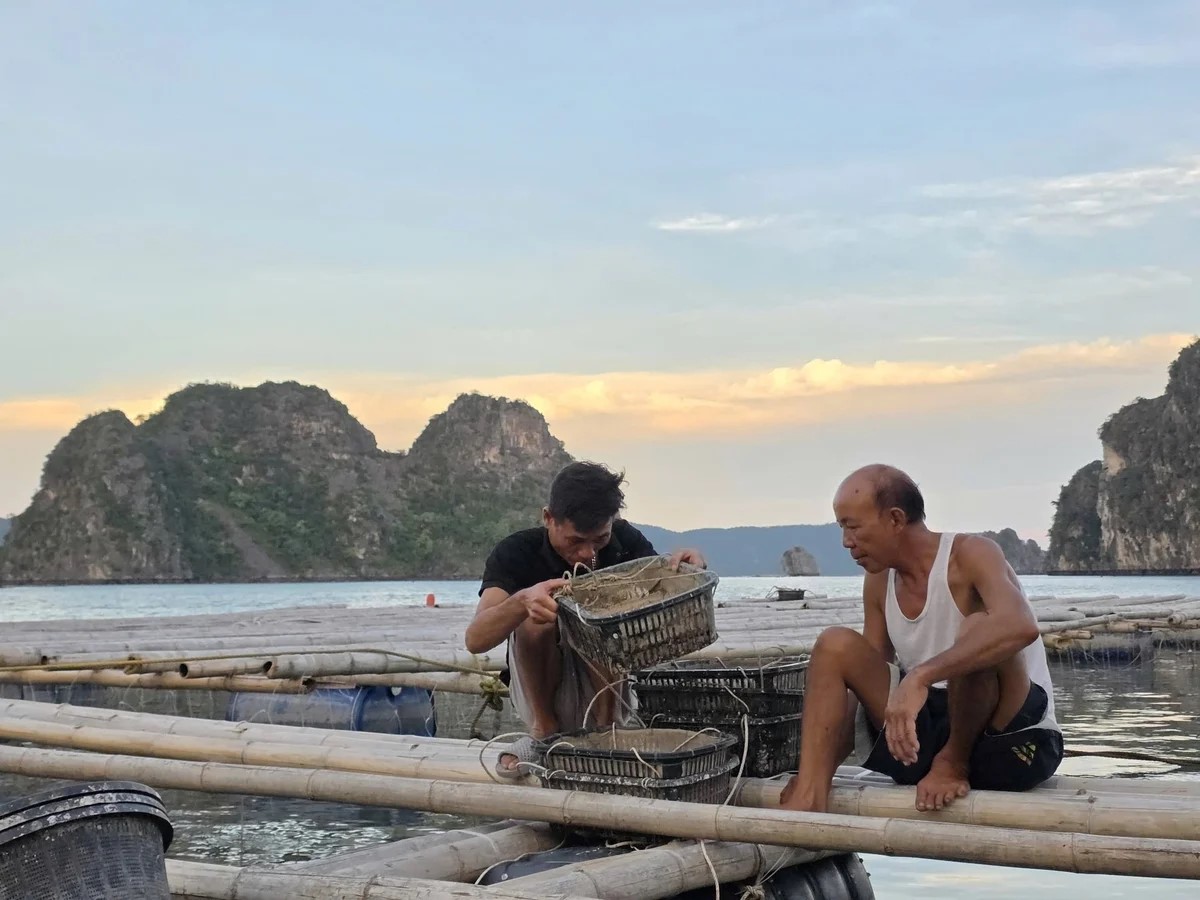 Đề xuất miễn thuế nhiều thu nhập từ J88.com Đăng nhập, Đăng ký trang chủ nhà cái J88 và J88vip00 Giải Trí Thể Thao
