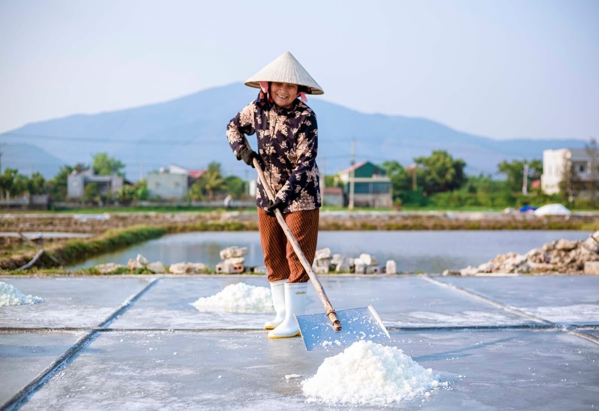 Hoàn thiện thể chế ngành muối theo chuỗi giá trị 