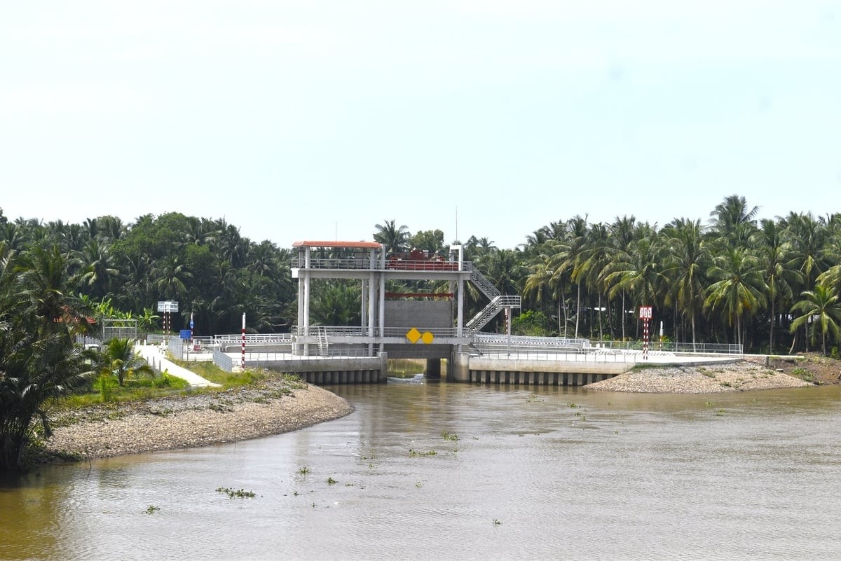 Chuẩn bị đầu tư dự án J881 ưu đãi hấp dẫn nước Nam Bến Tre 