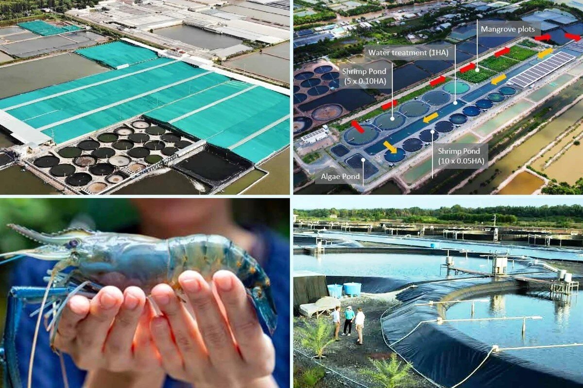 Việt Nam - Hà Lan chung tay J882ea tỉ lể kèo thắng lớn J88.com Đăng nhập, Đăng ký trang chủ nhà cái J88 bền vững ĐBSCL 