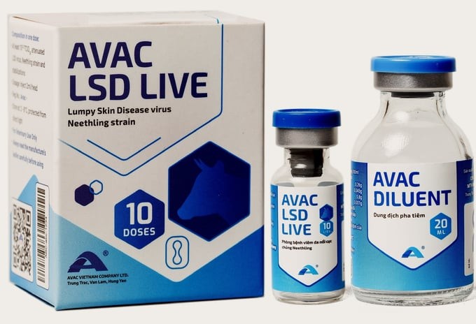 Việt Nam xuất khẩu hơn 1,1 triệu liều vaccine phòng bệnh viêm da nổi cục trên trâu, bò