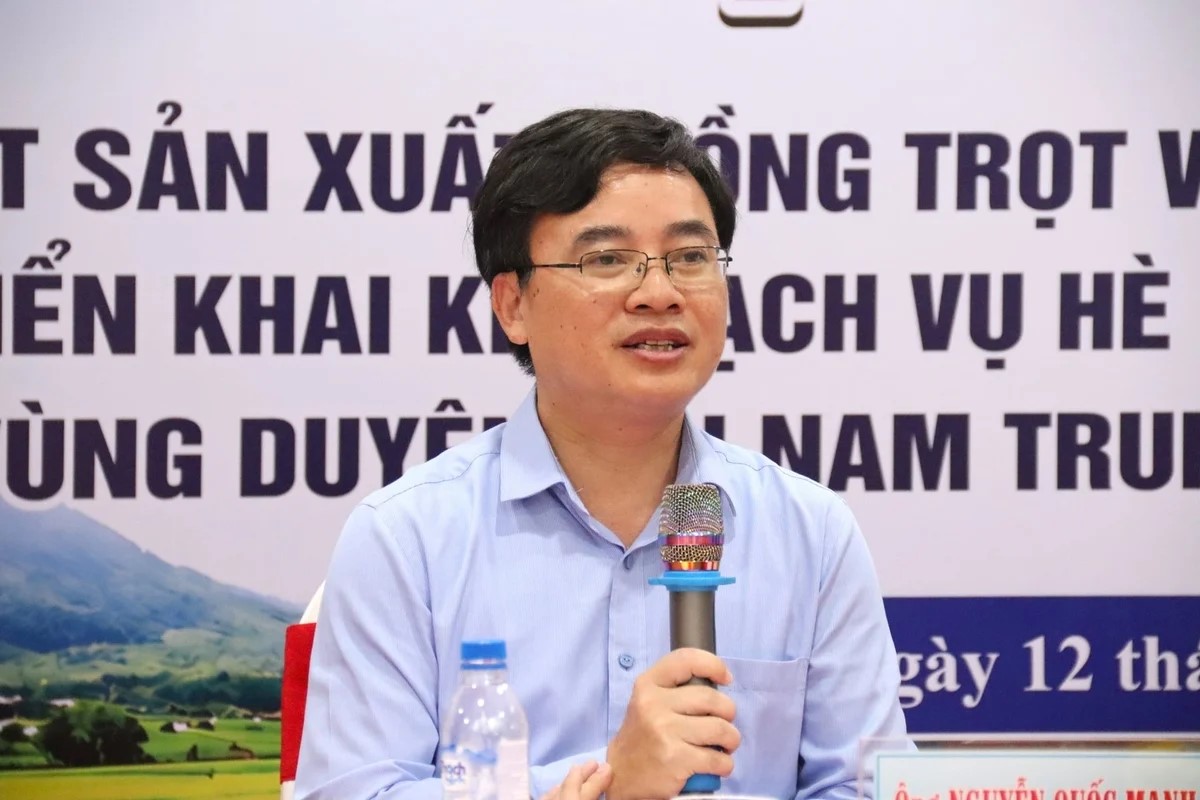 Vụ đông xuân Nam Trung bộ và Tây Nguyên thắng lợi giữa nhiều thách thức 