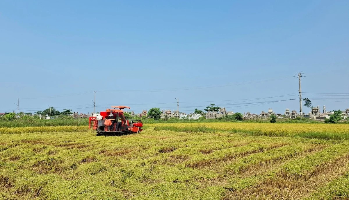 Đã có 32 địa phương hoàn thành sắp xếp, kiện toàn trung tâm khuyến nông cấp tỉnh 