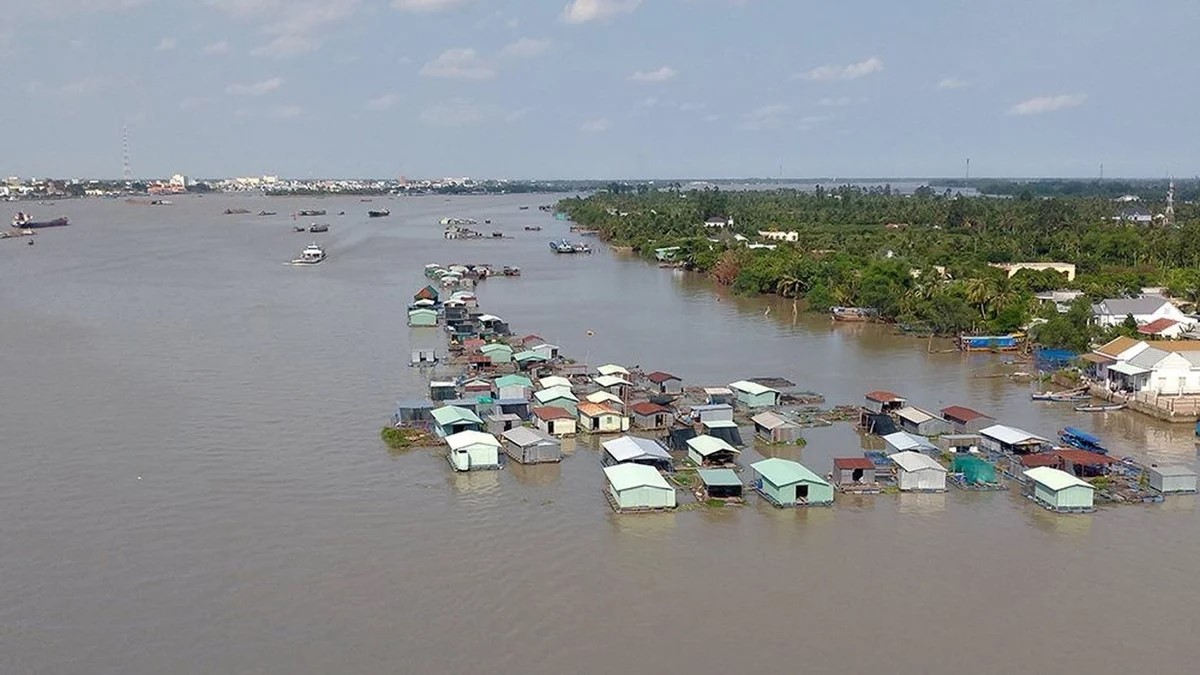 Xanh hóa vựa lúa số 1 Việt Nam: Chuyển từ “ứng phó bị động” sang “chủ động thích ứng