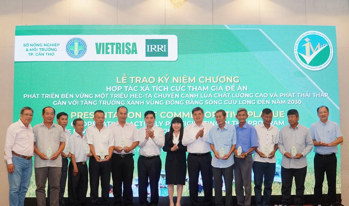 Gắn 'hộ chiếu xanh' cho thương hiệu gạo Việt phát thải thấp 