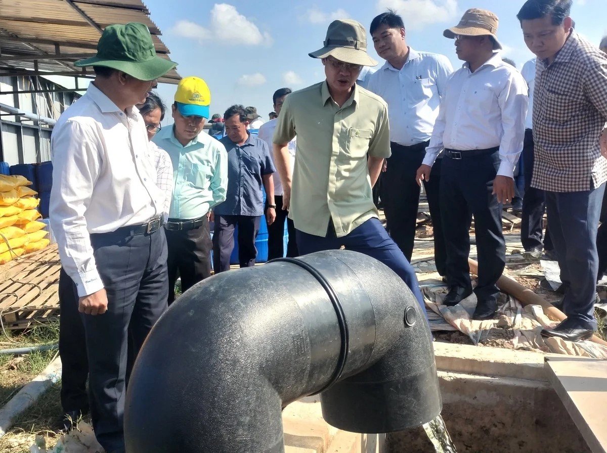 Vĩnh Long xử nghiêm vi phạm lĩnh vực Trang Chủ J88.com Trực Tuyến Mới Nhất 2026 