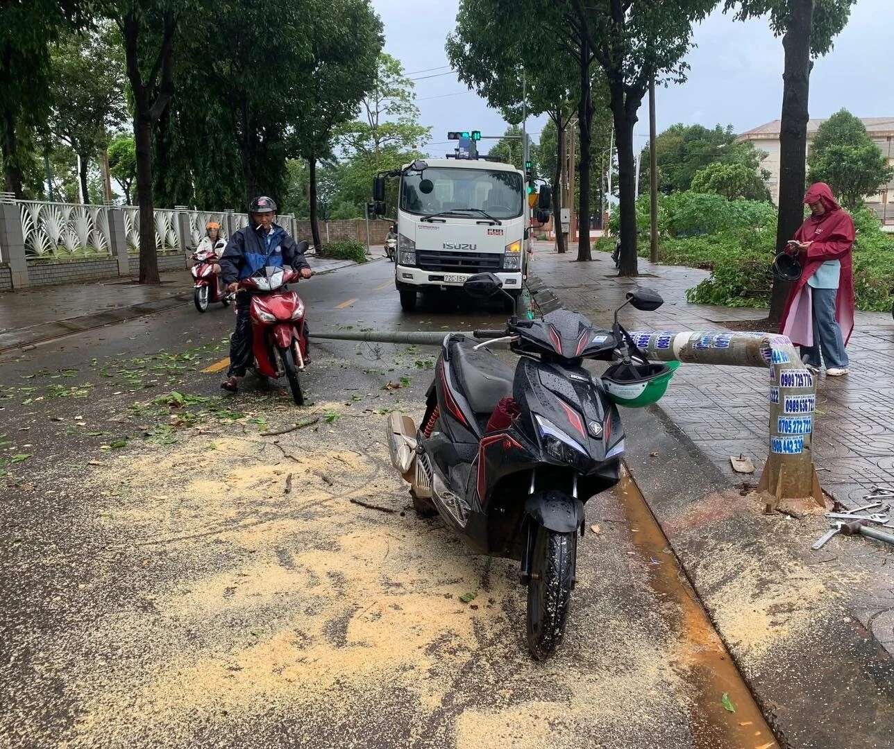 TP.HCM hưởng ứng Tuần lễ Quốc gia phòng, chống J88 VIP Trang Chủ 2026 năm 2026 