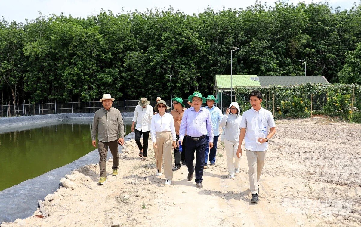 Hợp tác IAS – Rithy Group: Mở đường đi cho ngành giống lúa Campuchia 
