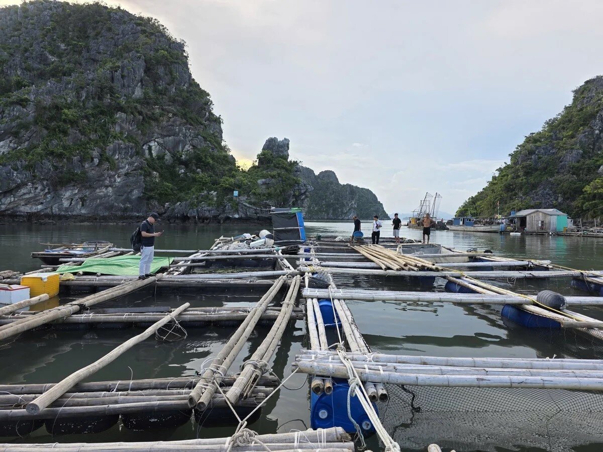 Chuyển việc cấp Giấy xác nhận nuôi trồng J88.com Đăng nhập, Đăng ký trang chủ nhà cái J88 liên tỉnh về địa phương 