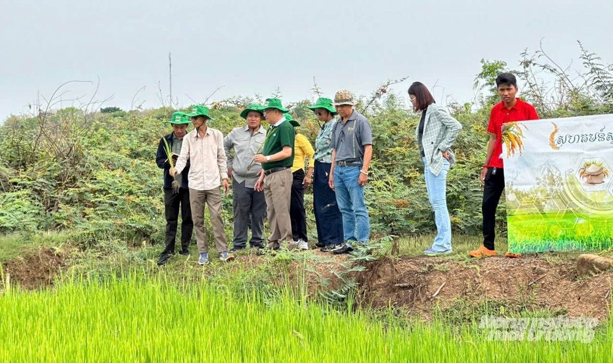 Hợp tác IAS-Rithy Group: Hướng tới mô hình J88.com Đăng nhập, Đăng ký trang chủ nhà cái J88 xanh, bền vững 