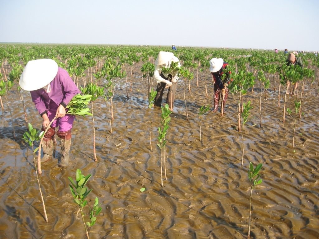 Cần hoàn thiện khung chính sách và hướng dẫn cụ thể về lồng ghép giới trong lập, thực hiện kế hoạch ứng phó với BĐKH 