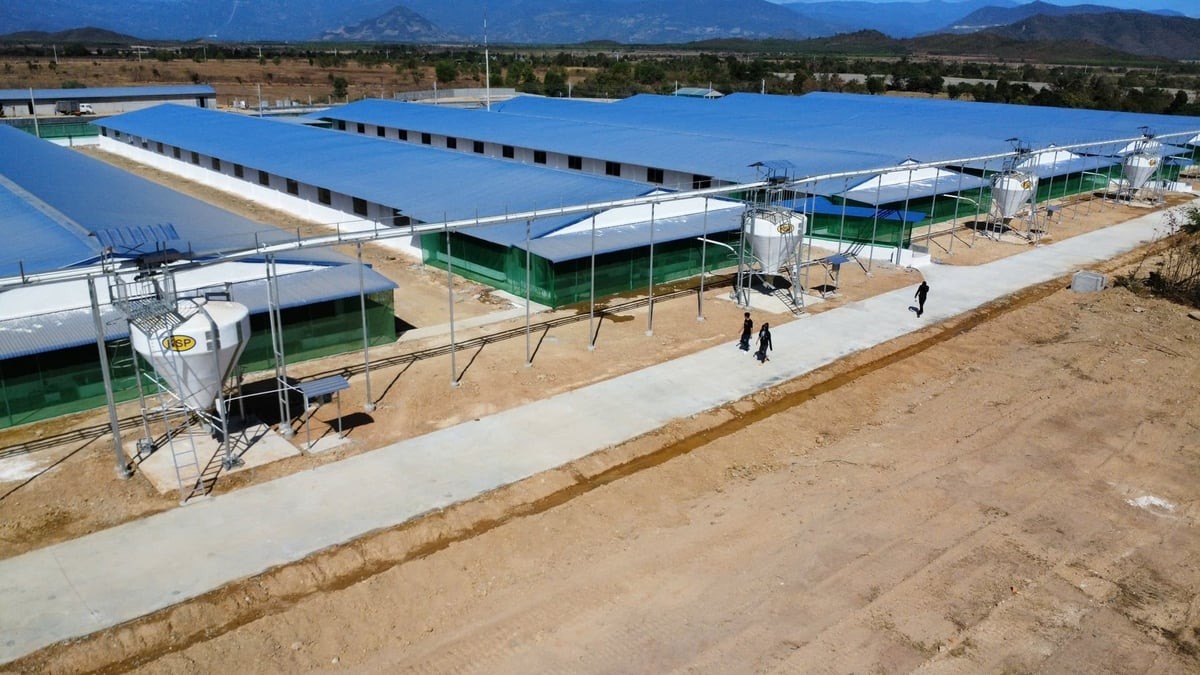 Khánh Hòa sửa đổi nhiều thủ tục hành chính về J881 tải ứng  và Link Trang Chủ J88.COM Uy Tín Mới Nhất 2026 