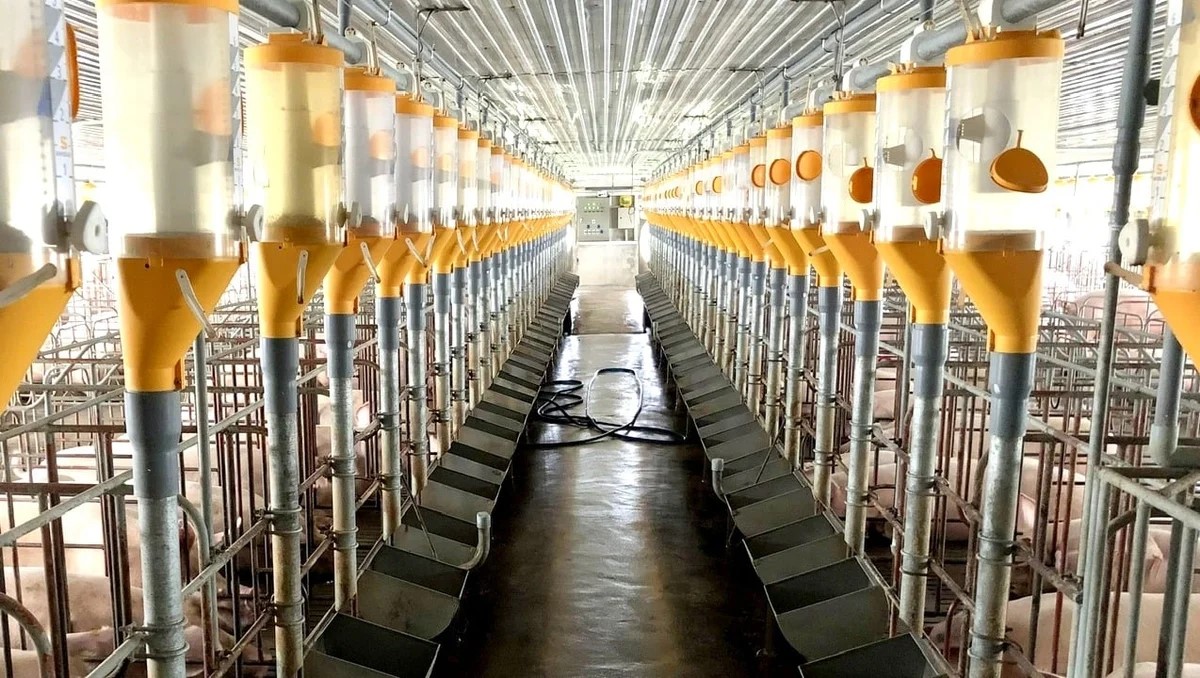 J882ea tỉ lể kèo thắng lớn ứng dụng khoa học, công nghệ với hộ J881 tải ứng  