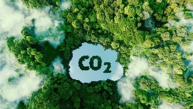 Bổ sung thủ tục hủy đăng ký tín chỉ carbon tự nguyện 