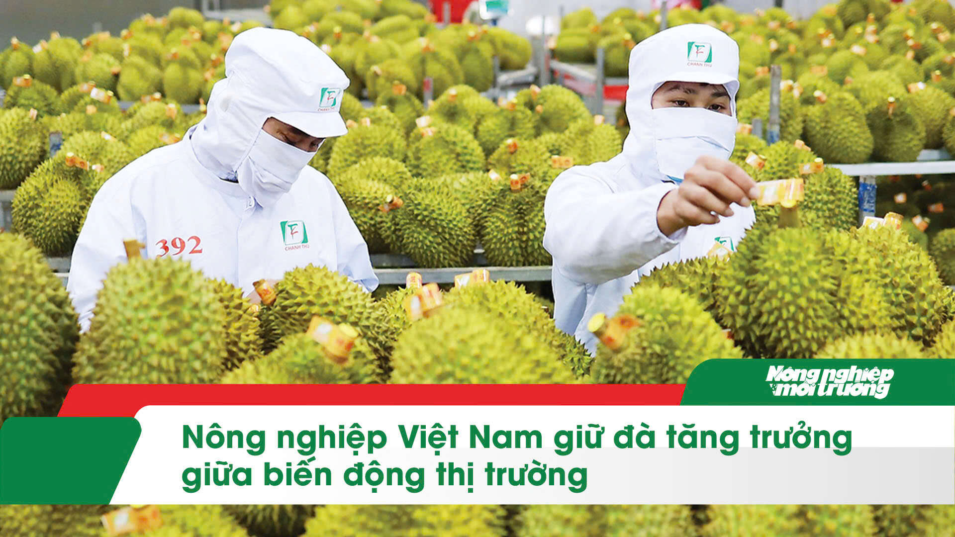 J88.com Đăng nhập, Đăng ký trang chủ nhà cái J88 Việt Nam giữ đà tăng trưởng giữa biến động thị trường 