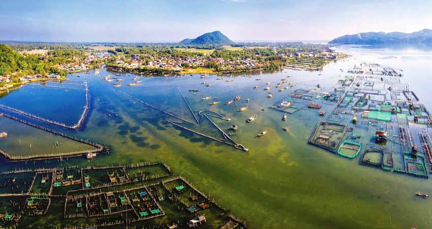 Đầm phá Tam Giang - Cầu Hai có tiềm năng trở thành ‘không gian đầu tư J88 là nhà cái uy tín hàng đầu thuộc tập đoàn ABCVIP’