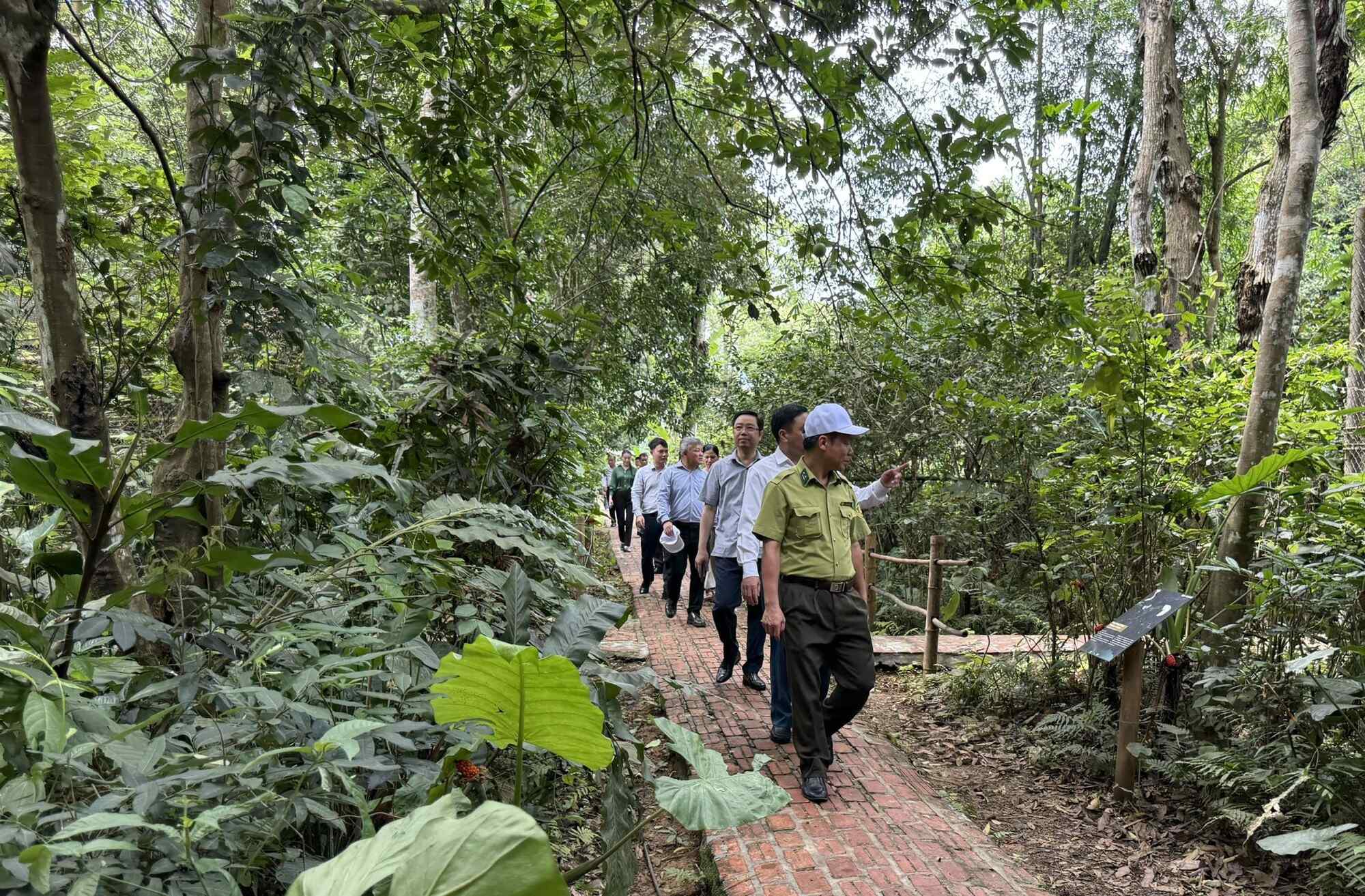 Đăng ký nhận khuyến mãi  thị trường carbon: Lộ trình chiến lược và cơ hội bứt phá cho J881.love nhà cái bóng đá world cup 
