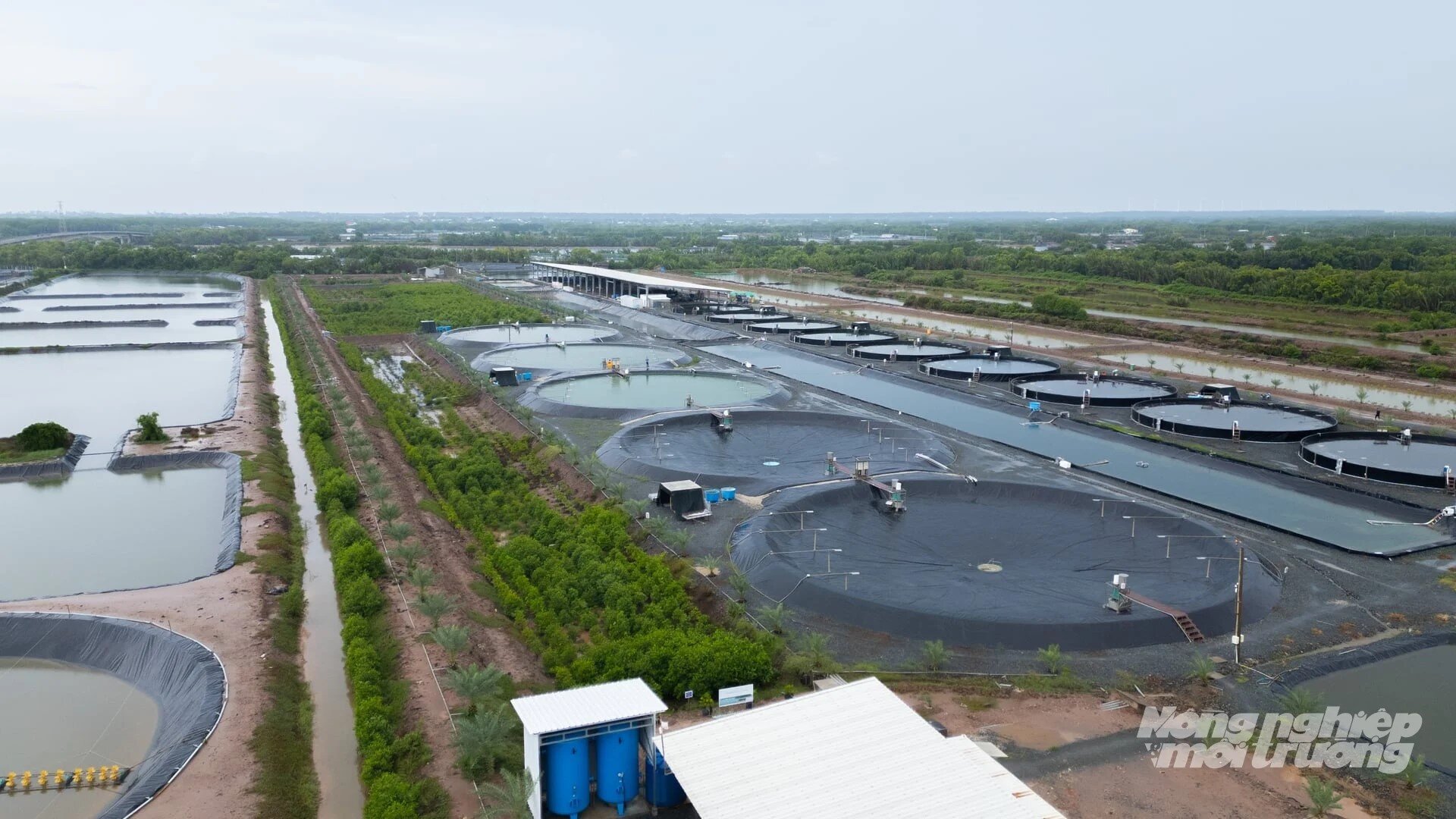 Vĩnh Long triển khai đồng bộ các giải pháp bảo vệ J88vip00 Giải Trí Thể Thao biển 