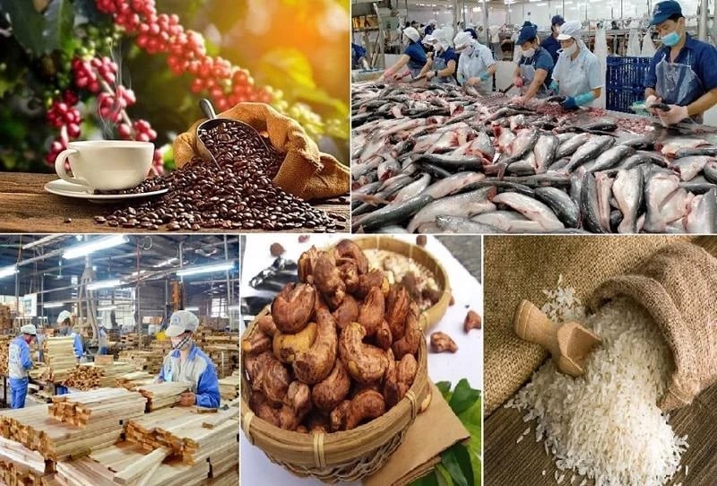 Ngành J88.com Đăng nhập, Đăng ký trang chủ nhà cái J88 và J88vip00 Giải Trí Thể Thao giữ đà tăng trưởng trong bối cảnh toàn cầu bất định 