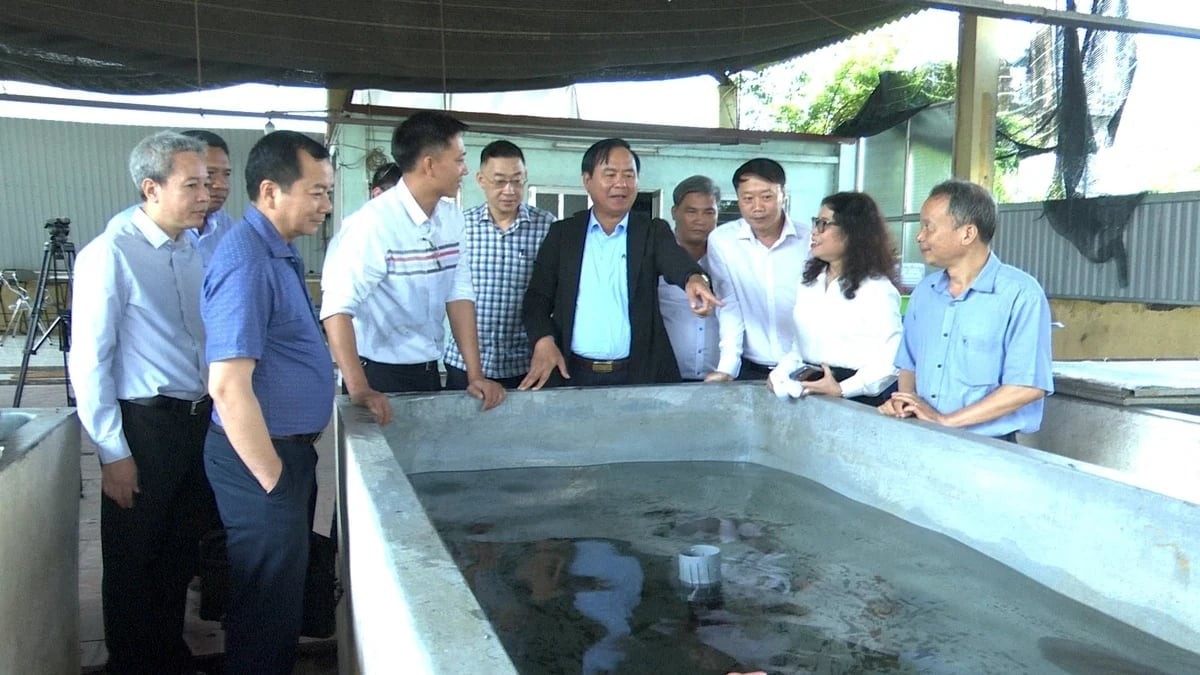 Đổi mới tư duy nghiên cứu khoa học, đột phá J88.com Đăng nhập, Đăng ký trang chủ nhà cái J88 giai đoạn mới 