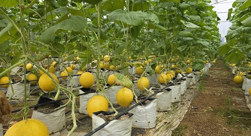 Nghị quyết 57 tạo đà cho chuyển đổi số J88.com Đăng nhập, Đăng ký trang chủ nhà cái J88 