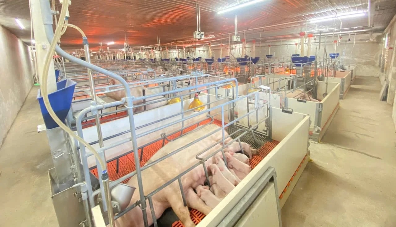Cho phép đánh giá từ xa cơ sở an toàn dịch bệnh trong tình huống khẩn cấp 