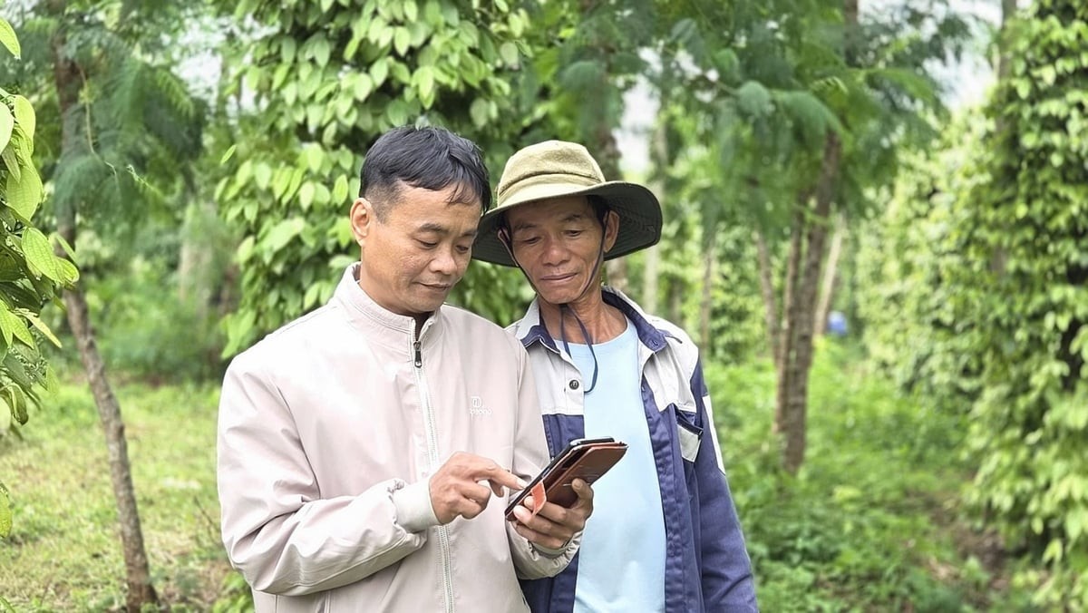 Chuyển đổi số tạo động lực cho ngành J88.com Đăng nhập, Đăng ký trang chủ nhà cái J88 và J88vip00 Giải Trí Thể Thao Quảng Ngãi 