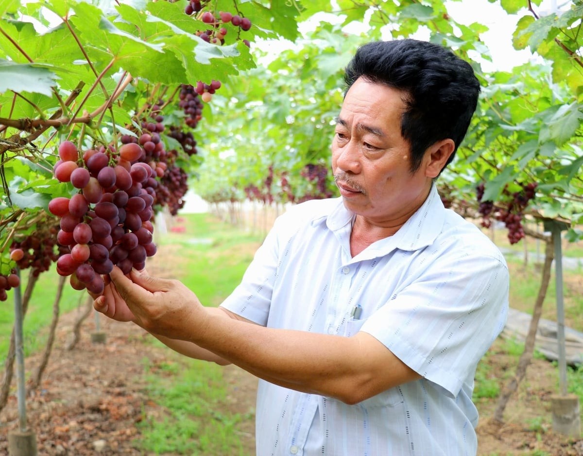 Khánh Hòa đặt mục tiêu bổ sung 100 sản phẩm OCOP mỗi năm 