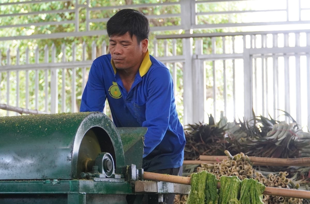 Cần Thơ tăng tốc chuyển dịch 88 com the gioi đỉnh cao J88.com Đăng nhập, Đăng ký trang chủ nhà cái J88 trong 5 năm tới 