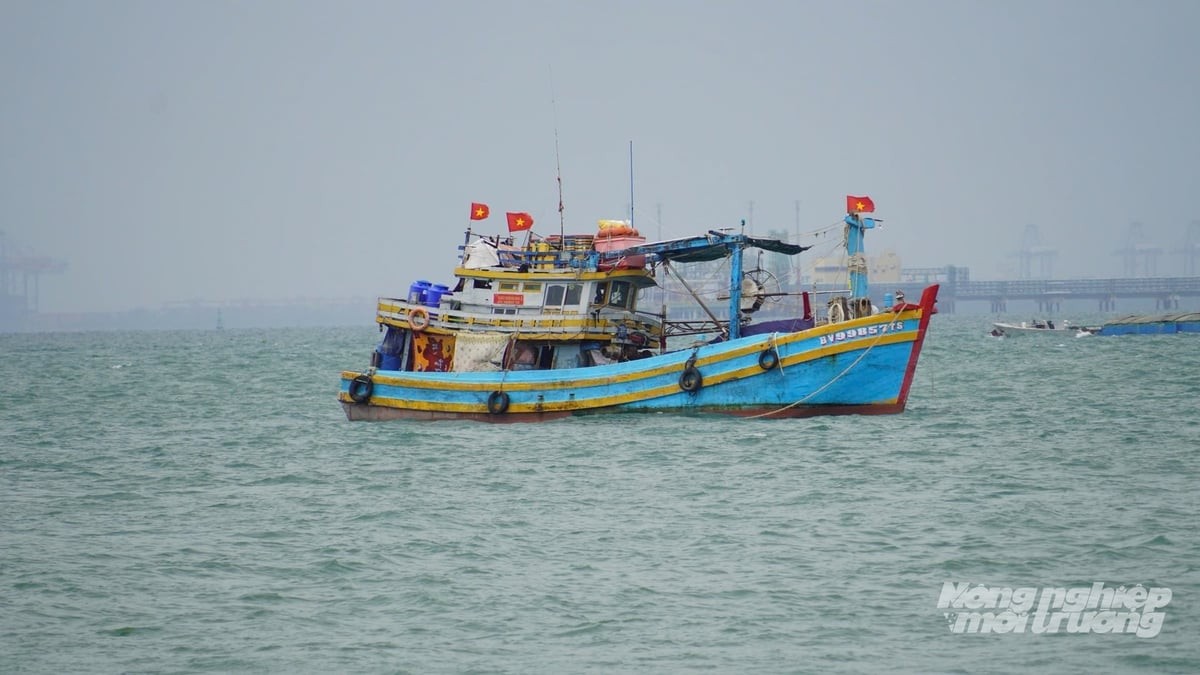Siết an toàn khai thác hải sản mùa mưa bão 
