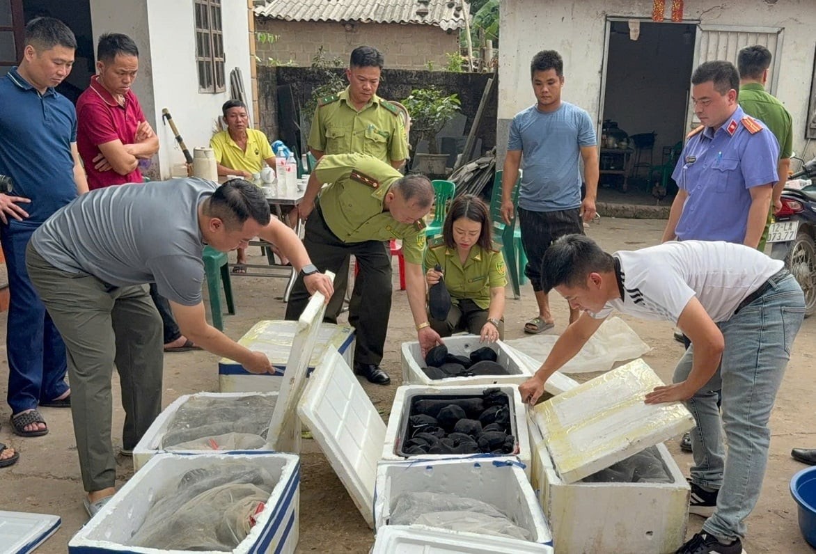 Lạng Sơn thiết lập nhiều lớp bảo vệ J885 trải nghiệm miễn phí hoang dã 