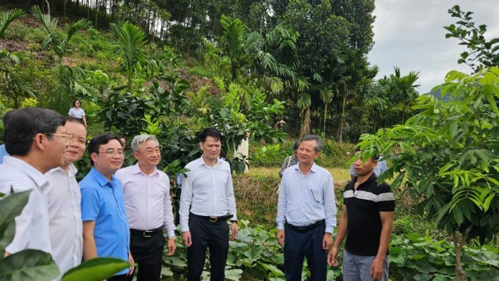 Tuyên Quang Đăng ký nhận khuyến mãi  vùng nhãn tập trung theo hướng hàng hóa
