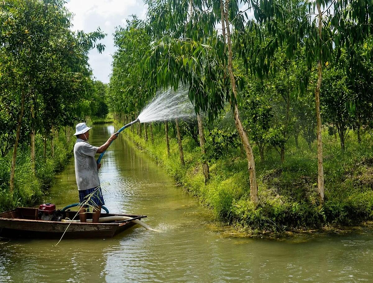 Việt Nam - CHLB Đức: Hợp tác quản lý bền vững nguồn nước dưới đất ĐBSCL 