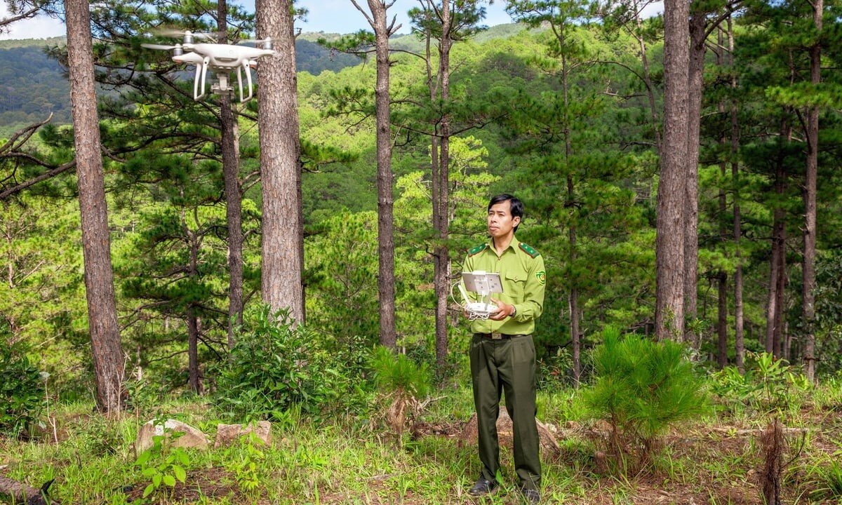 Khoa học công nghệ tạo động lực mới cho phát triển lâm nghiệp bền vững