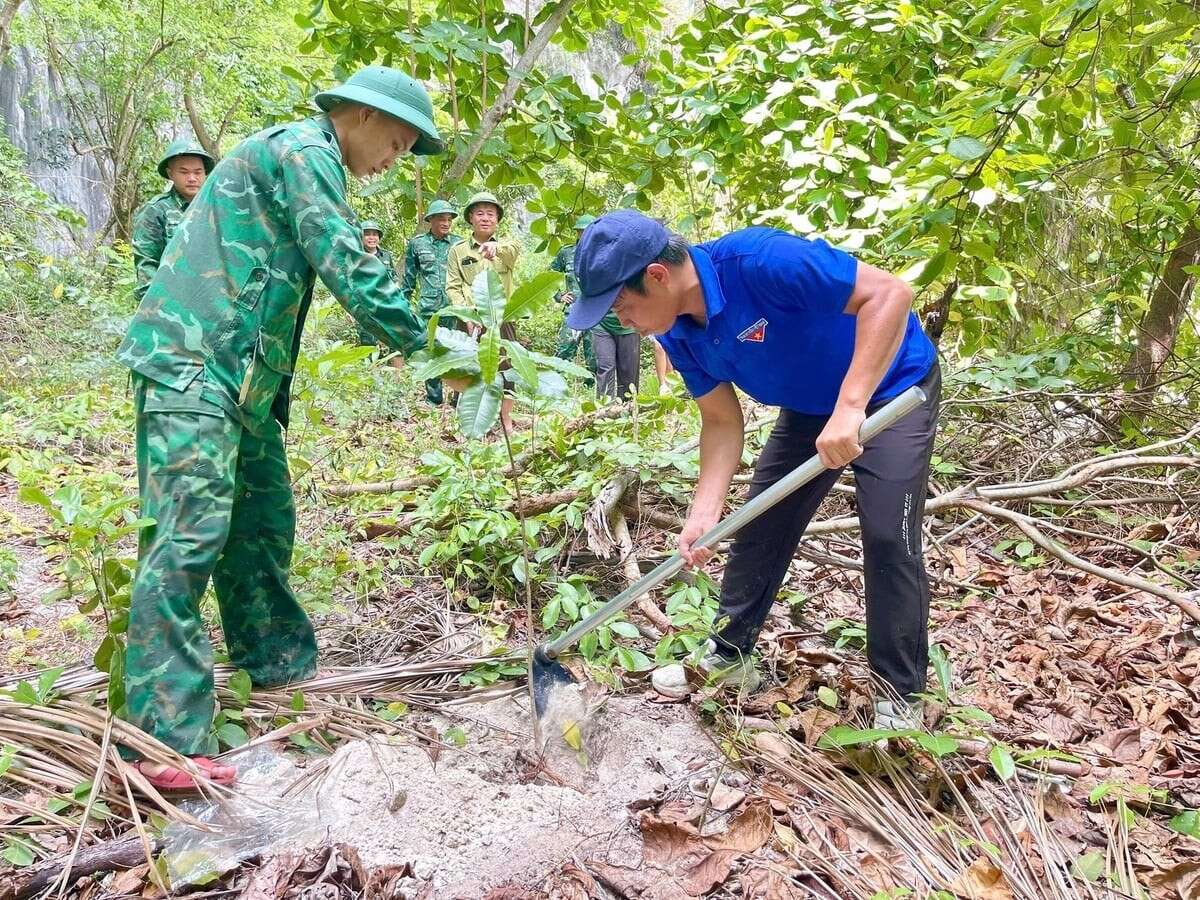 Hàng trăm người dọn rác, thả J885 trải nghiệm miễn phí tại Cát Bà hưởng ứng Ngày J88vip00 Giải Trí Thể Thao 
