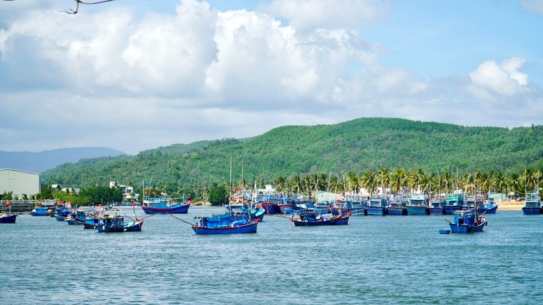 Tập trung thực hiện các quy định của EU về chống khai thác hải sản bất hợp pháp