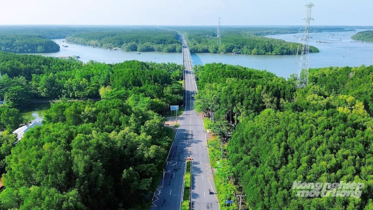 ‘Đánh thức’ giá trị rừng ngập mặn Cần Giờ bằng du lịch sinh thái 