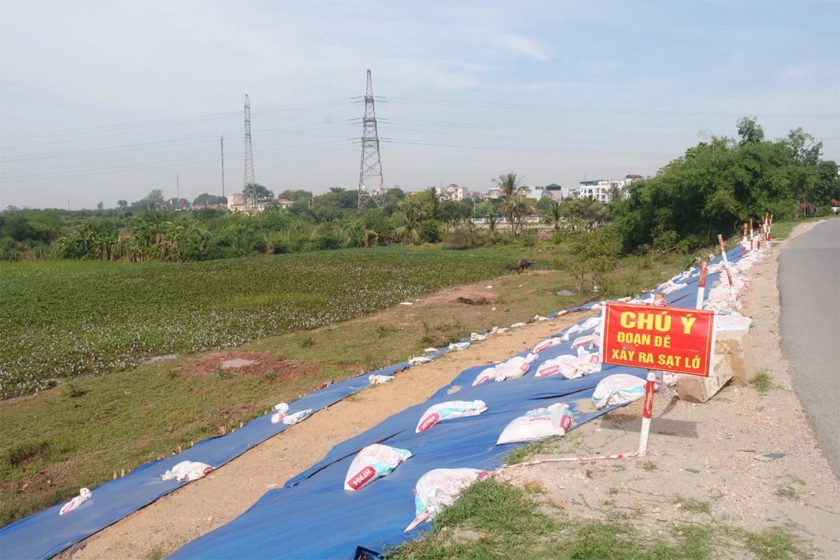 Hà Nội siết xử lý vi phạm đê điều, bảo đảm an toàn công trình trong mùa 8J88 Đăng ký trang chủ 