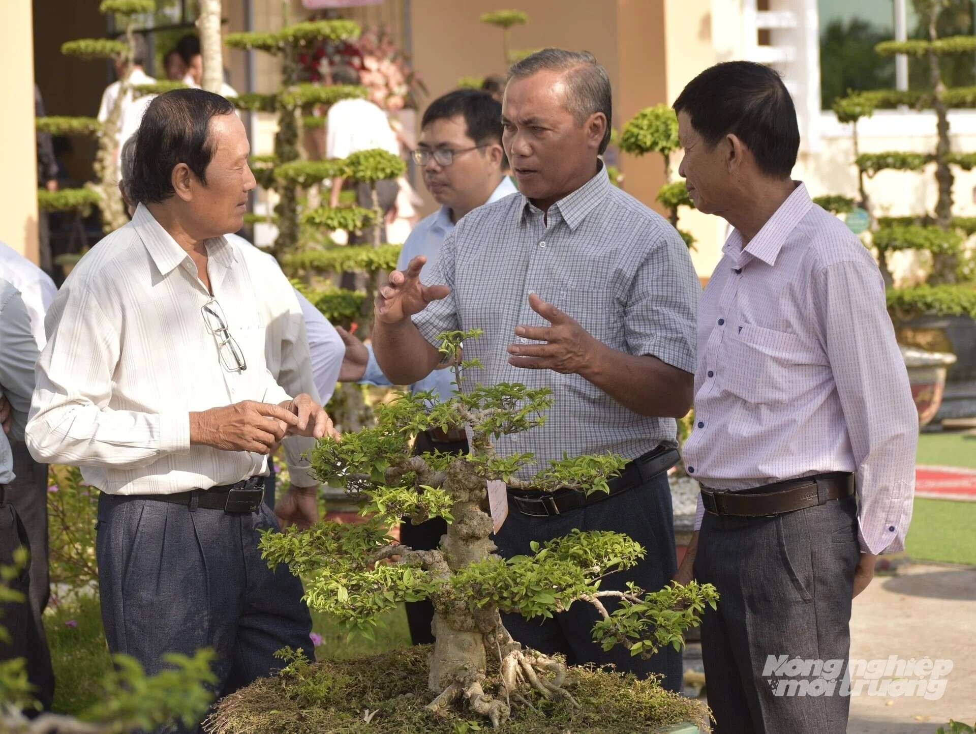 Đồng Tháp đổi mới quản lý, khai thác và bảo vệ nhãn hiệu cộng đồng 