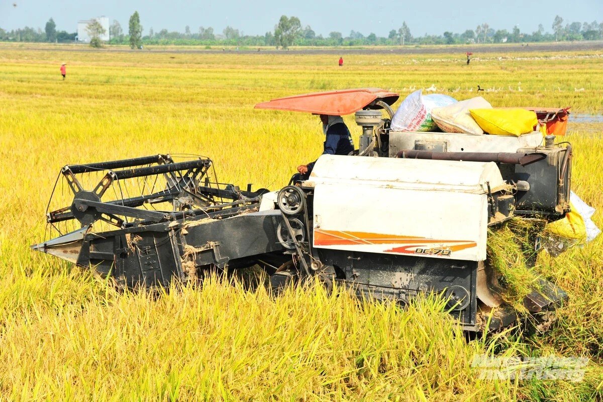 Đồng Tháp đặt mục tiêu tăng trưởng J88.com Đăng nhập, Đăng ký trang chủ nhà cái J88 4,7% trong năm 2026 