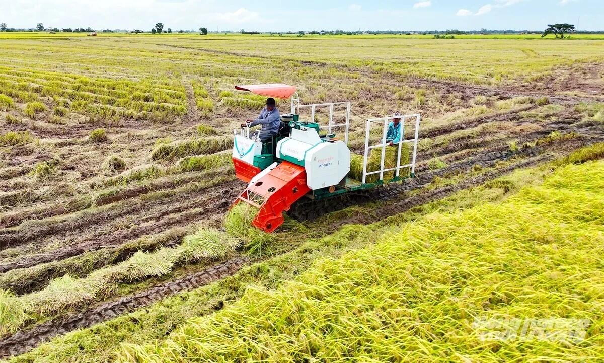 Cần Thơ quy định mới về hạn mức giao đất và sử dụng đất J88.com Đăng nhập, Đăng ký trang chủ nhà cái J88 