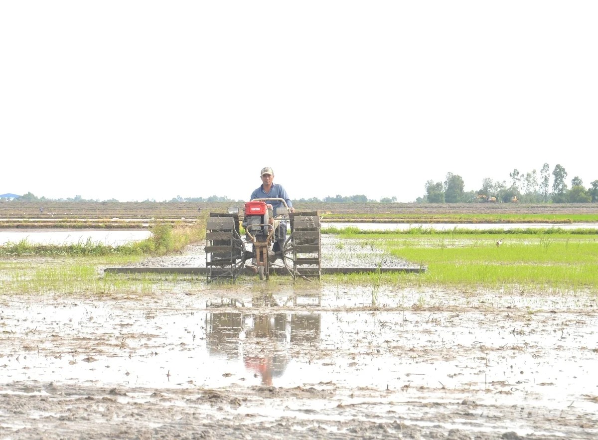 An Giang đề xuất giảm hơn 30.500 ha đất trồng lúa sang mục đích khác 