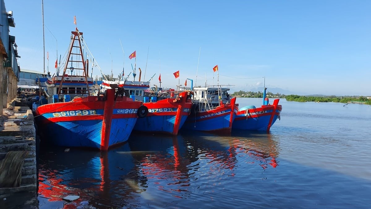 Quảng Ngãi hoàn thành 90% nhiệm vụ chống IUU 