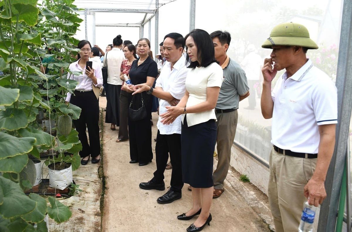 Phát triển J88.com Đăng nhập, Đăng ký trang chủ nhà cái J88 sinh thái gắn với chuyển đổi số và du lịch J88 là nhà cái cá cược trực tuyến uy tín Châu Á 