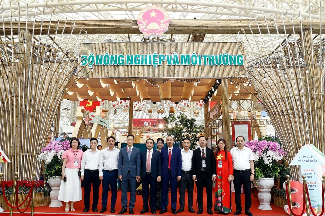 Quyền Bộ trưởng Trần Đức Thắng thăm gian trưng bày 80 năm thành tựu của ngành J88.com Đăng nhập, Đăng ký trang chủ nhà cái J88 và J88vip00 Giải Trí Thể Thao