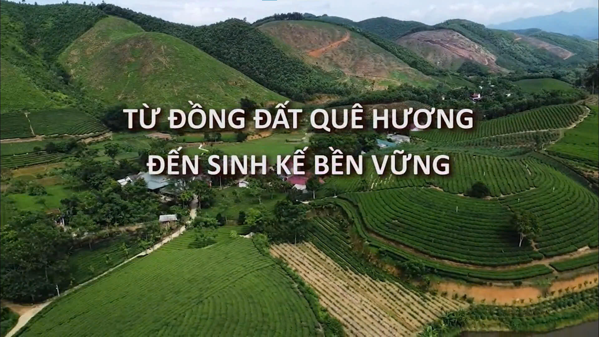 Từ đồng đất quê hương đến sinh kế bền vững